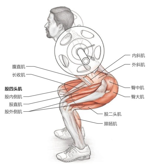 篮球模拟训练中的体能训练解决方案_0